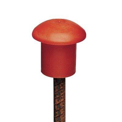 Cogumelos de proteção vermelhos