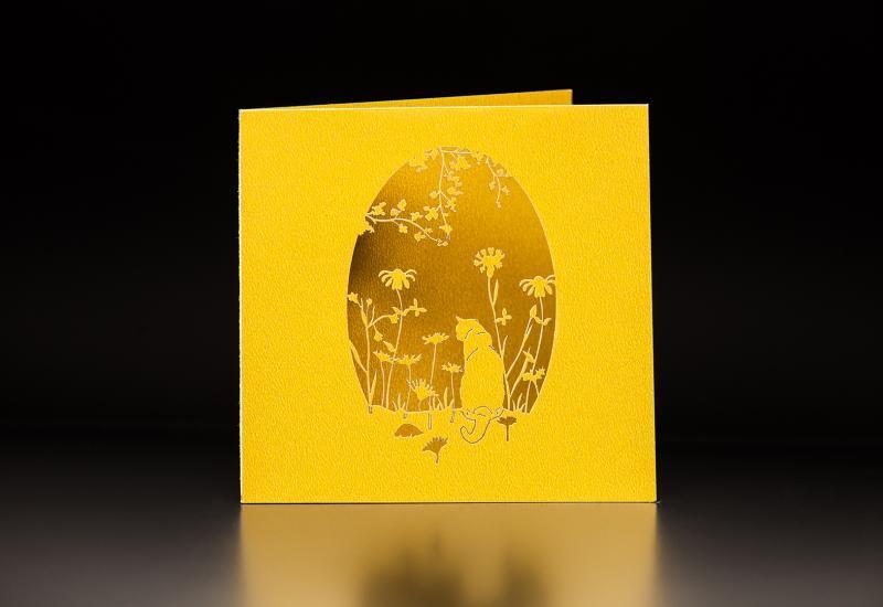 Gravação Laser  Papel Decorativo