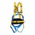 Arnes Anti queda  P50 